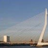 Erasmus brug Rotterdam Erasmus brug Rotterdam