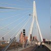 Erasmus brug in Rotterdam Erasmus brug in Rotterdam
