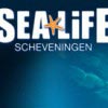 Sea Life Scheveningen Sea Life Scheveningen