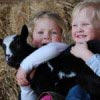 Lammetjesdag bij de Boerinn Lammetjesdag bij de Boerinn