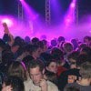Paaspop Den Hout Paaspop Den Hout