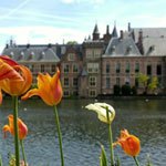 De leukste wat te doen in Den Haag tips op een rijtje