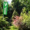 Arboretum Trompenburg Rotterdam Arboretum Trompenburg Rotterdam