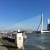 Erasmus brug in Rotterdam