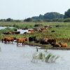 Lauwersmeer Groningen