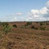 Bezoek nationaal park de Hoge Veluwe