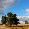 Nationaal Park Zuid-Kennemerland