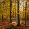 Philips de Jongh Wandelpark Philips de Jongh Wandelpark