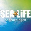 Sea Life in Scheveningen