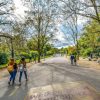 Vondelpark in Amsterdam