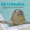 Zeehondencentrum Pieterburen