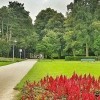 Zuiderpark in Den Haag