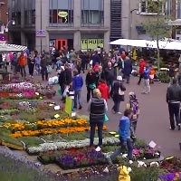 Bloemetjesmarkt Leeuwarden