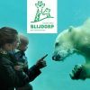 Naar Diergaarde Blijdorp met kinderen Naar Diergaarde Blijdorp met kinderen