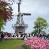 Keukenhof in Lisse