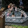 Er op uit naar Recreatiepark Het Rosarium met de kids