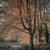 Er op uit naar het Stadspark Groningen