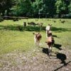 Er op uit naar het Stadspark Groningen Er op uit naar het Stadspark Groningen