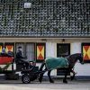 Kerst op Keukenhof Kerst op Keukenhof