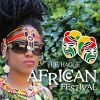 The Hague African Festival in Den Haag The Hague African Festival