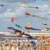 Vliegerfestival Scheveningen Vliegerfestival Scheveningen