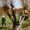 Natuurwerkdag