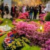 Tuinidee Brabanthallen Den Bosch TuinIdee