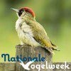 Nationale Vogelweek