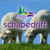 Schaapskooi en bezoekerscentrum Schapendrift