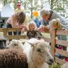 LC Nazomerfair op Landgoed Stania State LC Nazomerfair op Landgoed Stania State
