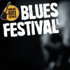 Alkmaar Blues Weekend