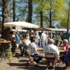 Braderie Wijchen