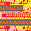 Parksessies Haarlem Parksessies Haarlem