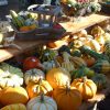 Herfstmarkt Ermelo