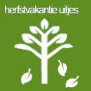 Wat te doen in de herfstvakantie