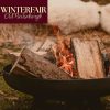 Winterfair OldRuitenborgh