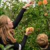 Fruitigste Hardfruitdagen