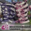 Bloemendagen Limmen Bloemendagen Limmen