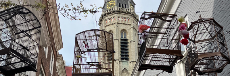 Wat te doen in Middelburg