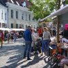 Hanze Rommelmarkt