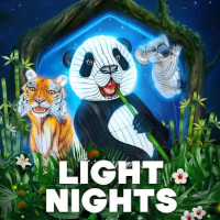 Light Nights