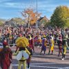 Intocht Sinterklaas Hoogeveen