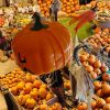Pompoenenfestival